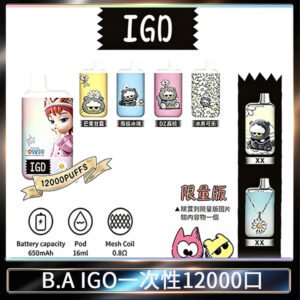 B.A IGD12000口 一次性拋棄式 電子煙