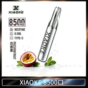 梟客XIAOKE一次性電子菸拋棄式8500口